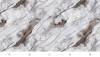 Бамбуковая панель Bonaparte Arabesca glossy C connect 280x110x0.5 фото 2