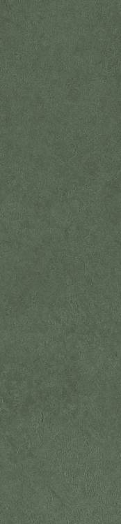 Керамогранит Simpolo Spectra MPL-061915 Scs Herbs 5.8х25