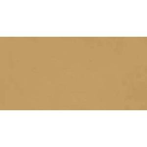 Керамогранит Ragno Decora RA5D Senape Rett 60x120