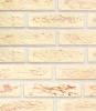 Искусственный гипсовый камень Касавага Под кирпич 325 21x5