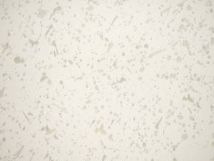 Обои Elysium Бренда Е805201