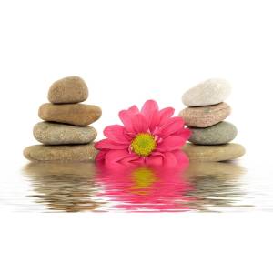 Декор Ceradim Stones 1 25x45