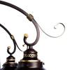Потолочная люстра Arte Lamp Grazioso A4577PL-8CK фото 4
