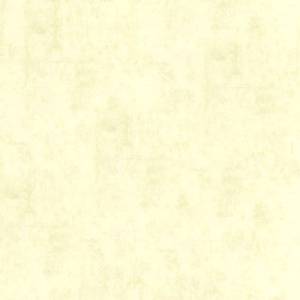 Обои флизелиновые Aura Plain Resource Vol 1 B1181102
