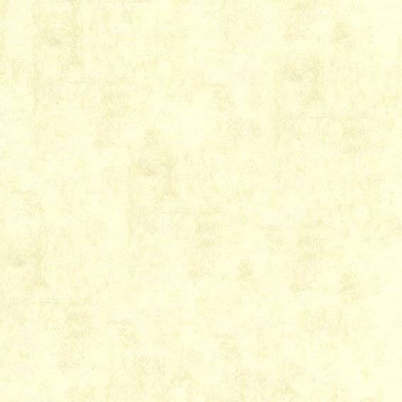 Обои флизелиновые Aura Plain Resource Vol 1 B1181102