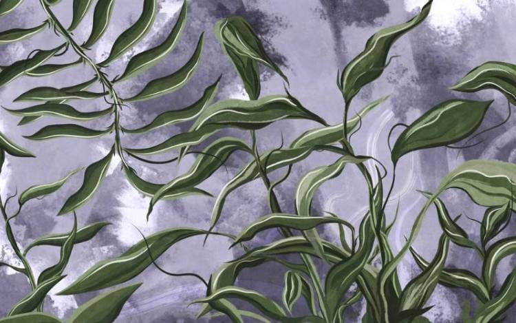 3D Фотообои Artegrafico «Переплетающиеся ветви на фиолетовом фоне» AVG-001 акварель