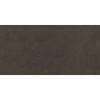 Керамогранит Kerama Marazzi Про Фьюче DD592820R Коричневый Обрезной 60x119.5