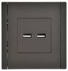 Розетка USB type A+A IEK Forte&Piano FP-U21-D31-K03 серый фото 2