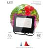 Прожектор светодиодный ЭРА PRO 50W 1200K Fito-50W-RB-Led Б0046368 фото 4