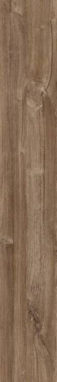 SPC Ламинат Creto ElegantWood 5/43 4V CR65305 Дуб натуральный Африканский 1220x183