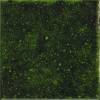 Керамическая плитка Ape Ceramica Genuine A041643 Emerald 10x10