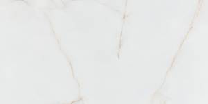 Керамогранит Pamesa Gelsa 017.869.0032.13571 Oro Mat 60x120