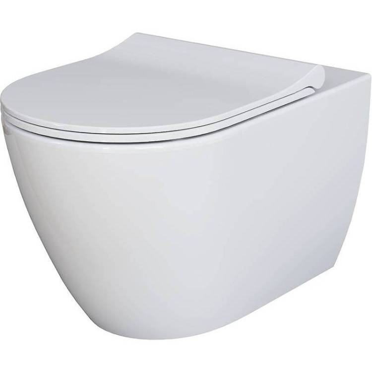 Унитаз подвесной Ambassador Queen 113T20001R-112T20001S с крышкой-сиденьем микролифт, белый глянцевый