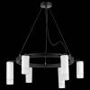 Подвесная люстра Lightstar Rullo LR0163638631 фото 3