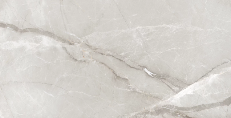Керамогранит Dogma Project Regina DPA601215SN Antibacterial Silk Natural Rettificato 60x120