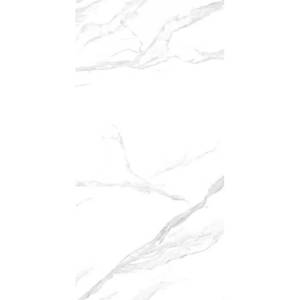 Керамогранит NT Ceramic Atlas Wide NTT3009M Statuario Mat 120x240