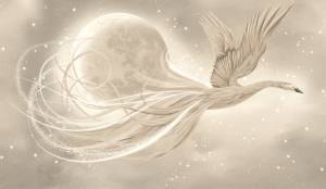 Бесшовные Eco обои Ortograf Animality 34679 Phoenix in the sky Ворс ОЕ