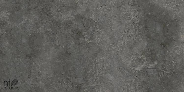 Керамогранит NT Ceramic Concrete PP459NTT77003M лаппатированная 45x90