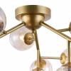 Потолочная люстра Maytoni Dallas MOD545PL-12G фото 2