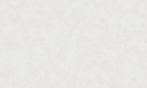 Обои Erismann Amur 60613-02