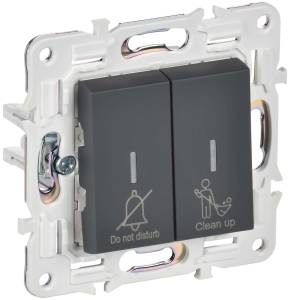 Выключатель 2-клавишный IEK Skandy SK-V20-2-10-K53 графит