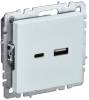 Розетка USB type A+C IEK Brite BR-U22-018-K36 жемчуг