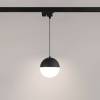 Трековый светодиодный светильник Arlight LGD-Emisfero-Track-Hang-2TR-R150-11W Warm3000 035944 фото 3