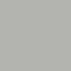 Керамогранит TAU Ceramica Tornares Zumaia Silver Rec 60x60