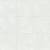 Керамогранит Aparici Vienna ACV000011 White Natural R10 59.2x59.2