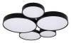 Потолочный светильник Loft IT Drum 10218 Black фото 3
