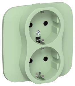 Розетка 2-местная с заземлением IEK Flite FI-R21A-16-1-K93 фисташковый