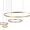 Подвесной светодиодный светильник Loft IT Ring 10017/4L фото 5