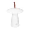 Настольная лампа декоративная Arlight Sp Patio 030051