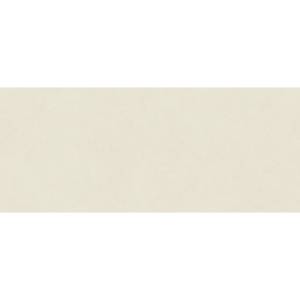 Керамическая плитка Atlas Concorde Boost Natural Pro AQ6N Salt Matt 50x120