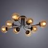 Потолочная люстра Arte Lamp Oxford A2716PL-8BK фото 4