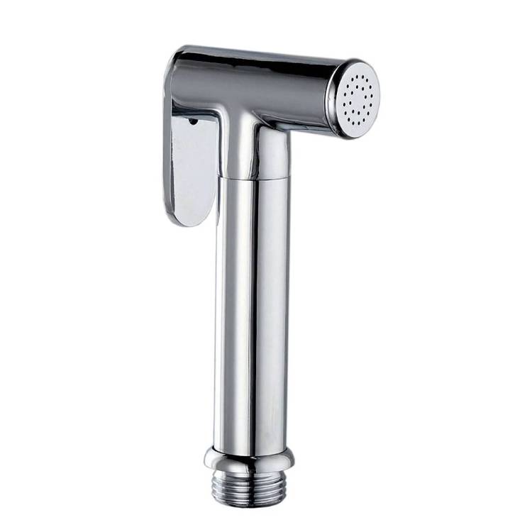 Гигиеническая лейка Fashun A21 хром