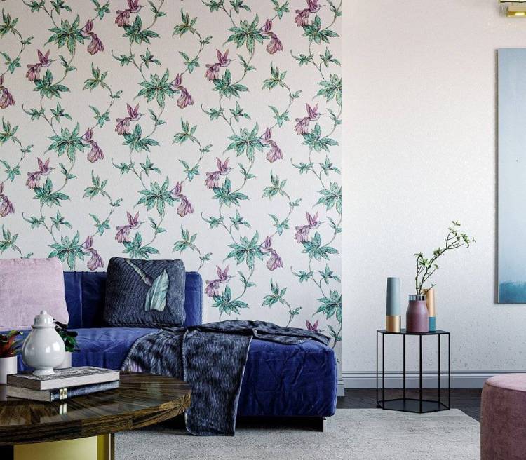 HomeColor Colibri