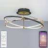 Потолочный светодиодный светильник Natali Kovaltseva Smart Нимбы High-Tech Led Lamps 82050 фото 5