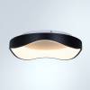 Потолочный светильник Arte Lamp Ankaa A3085PL-48BK фото 4