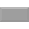 Керамическая плитка Absolut Keramika Monocolor Plata Biselado Brillo 10x20