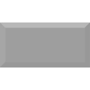 Керамическая плитка Absolut Keramika Monocolor Plata Biselado Brillo 10x20