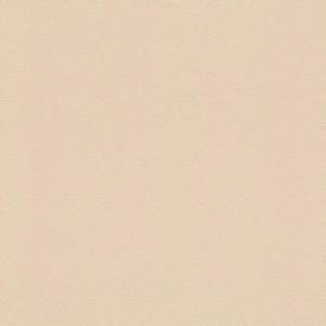 Обои Rasch Gypso 607772 Обои Rasch Gypso 607772