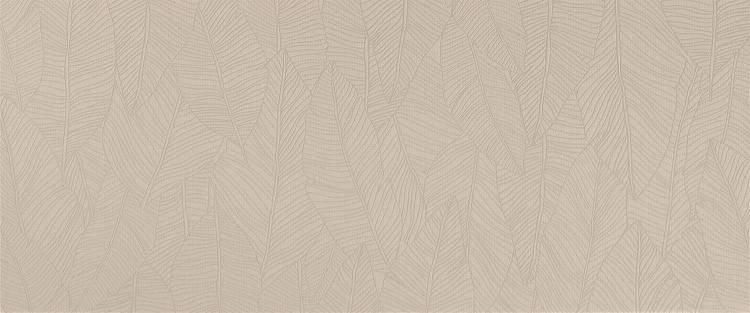 Декор Atlas Concorde Aplomb A6FD Canvas Leaf 50x120