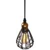Подвесной светильник Loft IT Loft2009/1 фото 4