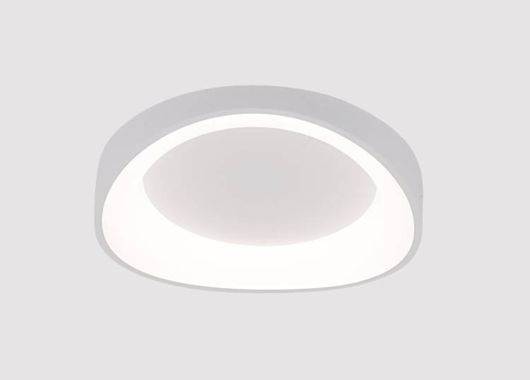 Светильник потолочный Arte Lamp Sualocin A2698PL-48WH