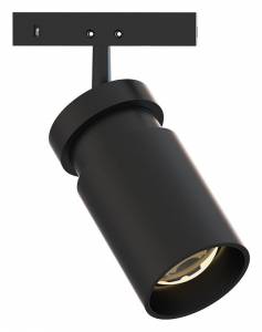 Потолочный светильник Arte Lamp Presto A6228PL-1BK
