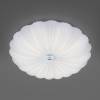 Настенно-потолочный светодиодный светильник Lightstar Arco II 225430 фото 4