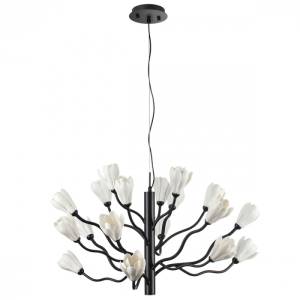Люстра потолочная Odeon Light Modern 5090/18