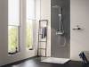 Душевая лейка Grohe Euphoria 110 Massage 27239001 фото 2