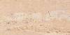 Пробковое покрытие Corkstyle Natural Cork Comprido Creme Клеевое 915x305x6 фото 2